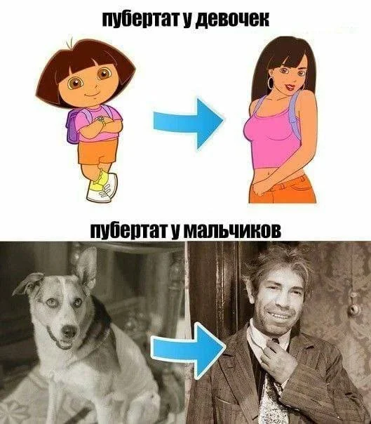 Смешные скрины из соцсетей #110