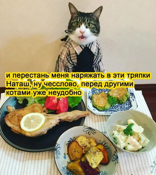 Классные приколы: свежо и смешно #1