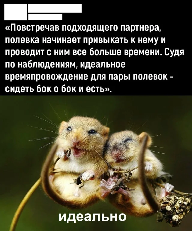 Реальная ржака: Прикольные картинки