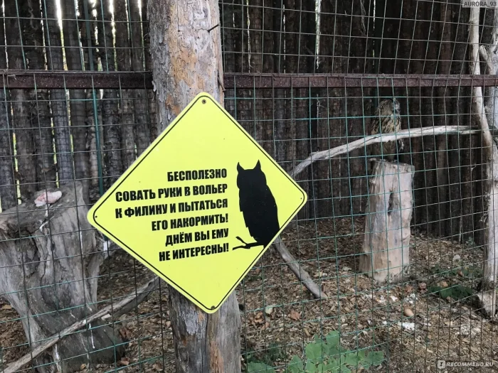 Таблички в зоопарке