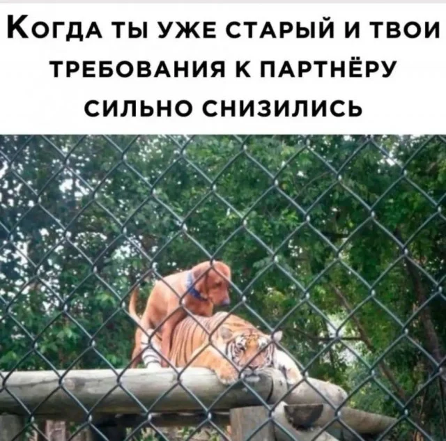 Очередная подборка мемов