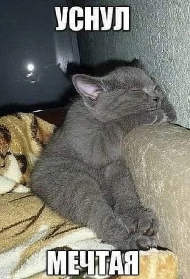 Свежо и актуально