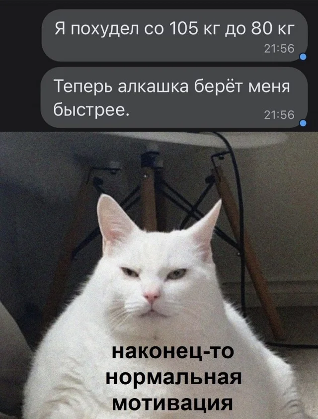 Класс! Юмор и приколы!