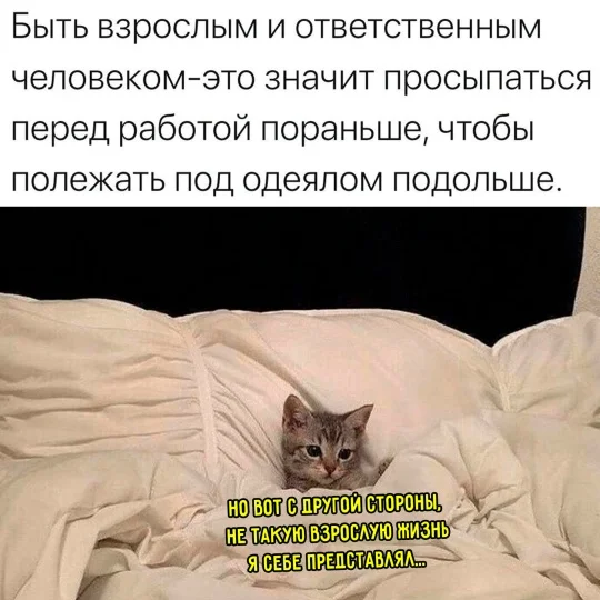 Очень весело!