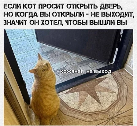 Мемы на каждый день #2