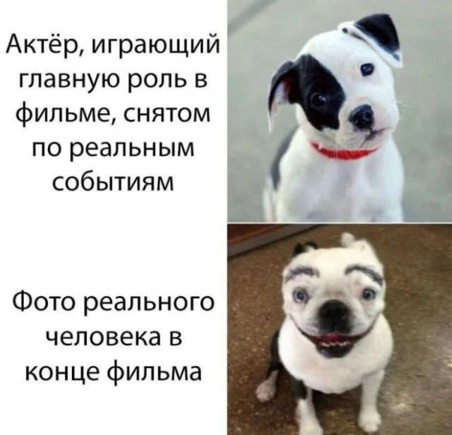 Вот и деградация