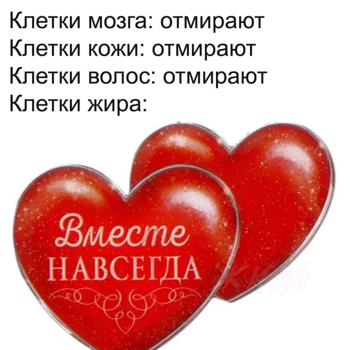 Нестандартный юмор #490 Нестандартный юмор #490
