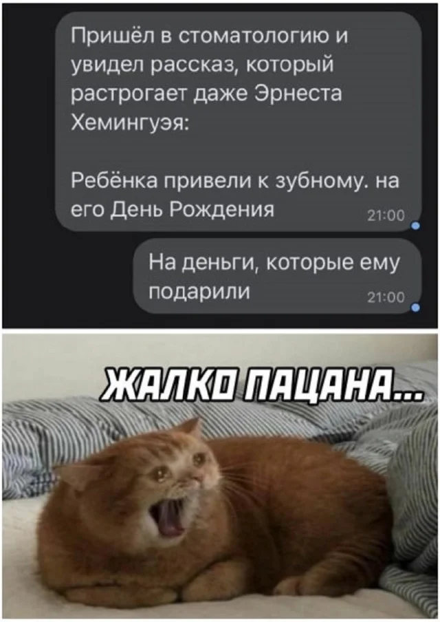 Классные приколы: свежо и смешно #4