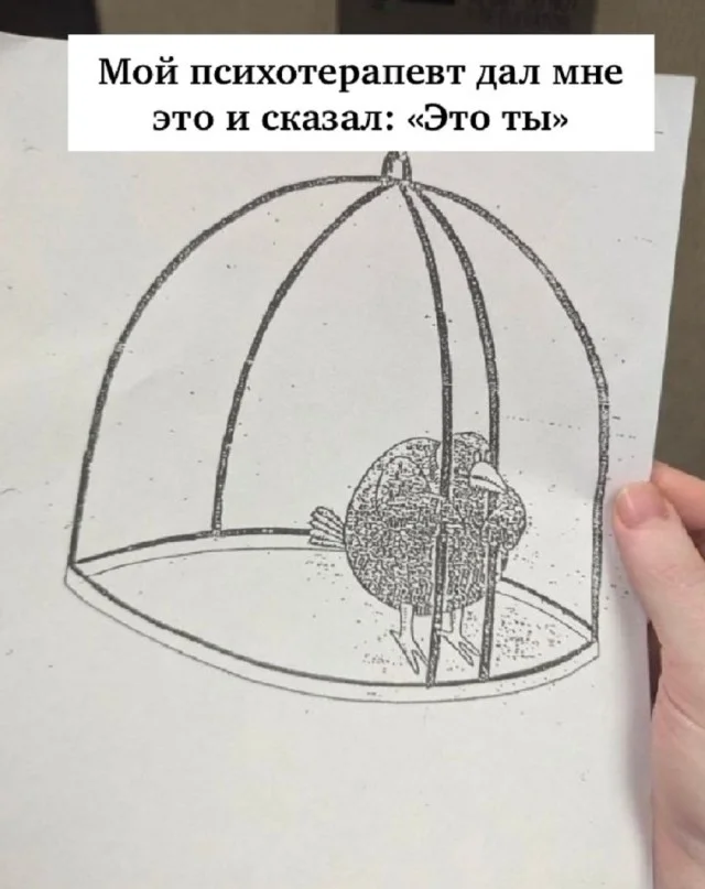 А вот и свежие мемы