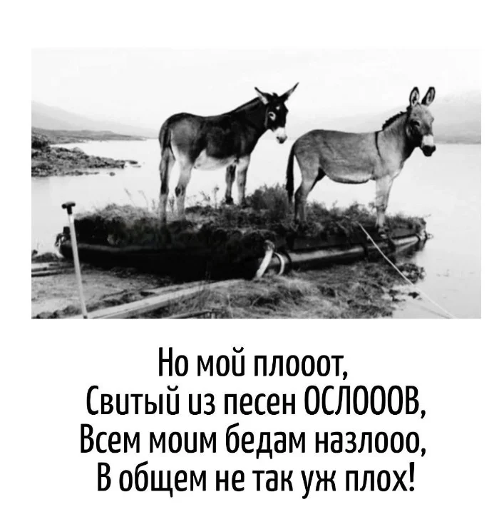 Игра слов – каламбуры, словесный юмор и прикольные картинки #112 Игра слов – каламбуры, словесный юмор и прикольные картинки #112