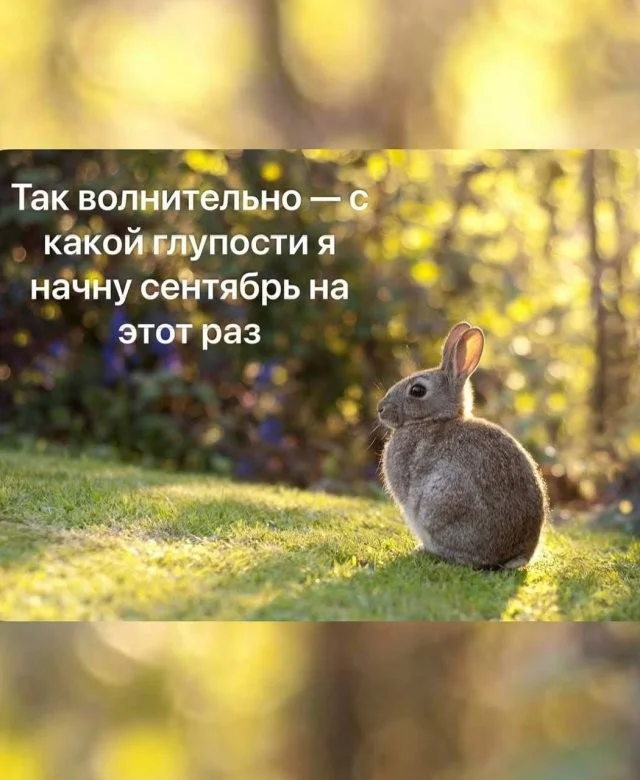 Смешные скрины из соцсетей #103 Смешные скрины из соцсетей #103