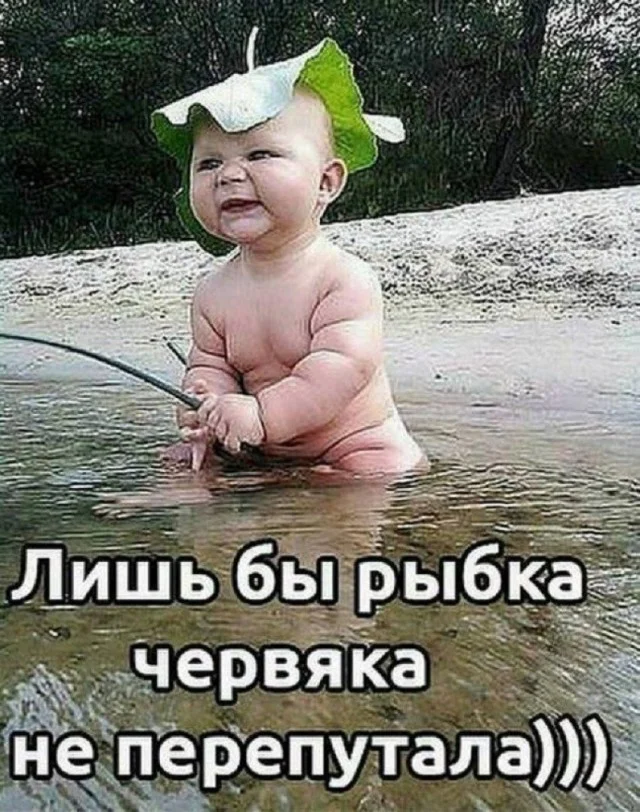 Свежо и хорошо: Приколы