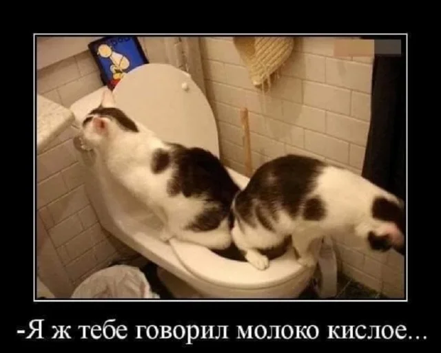 Реальная ржака: Прикольные картинки