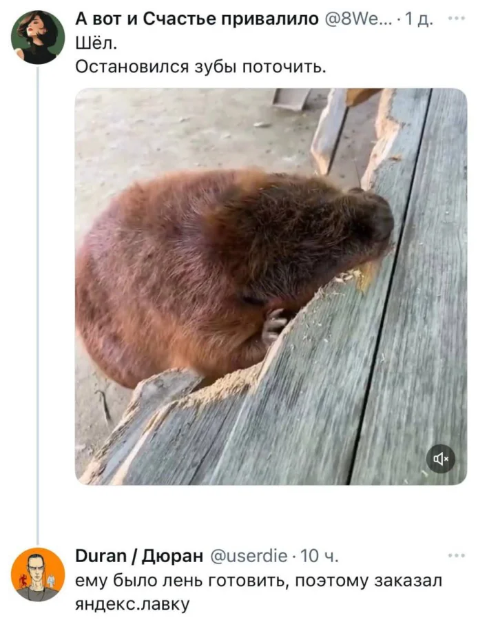 Нестандартный юмор #493 Нестандартный юмор #493