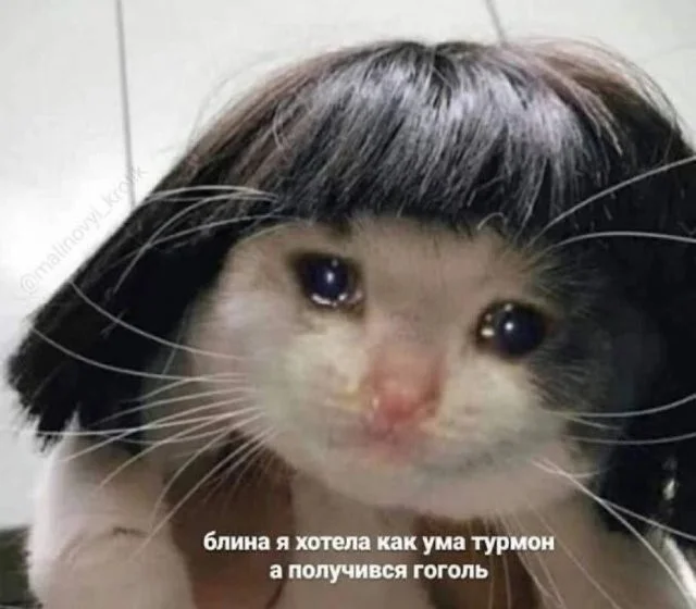 Смешные скрины из соцсетей #107