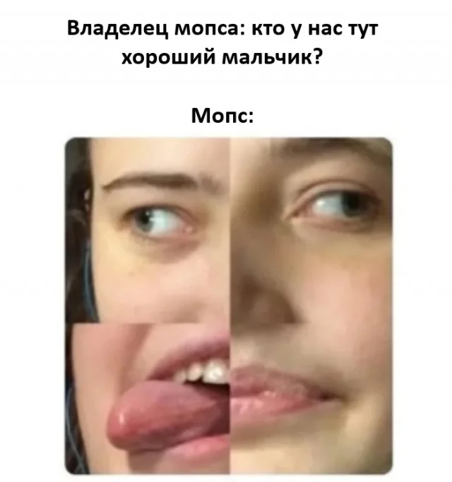 Тупость в картинках