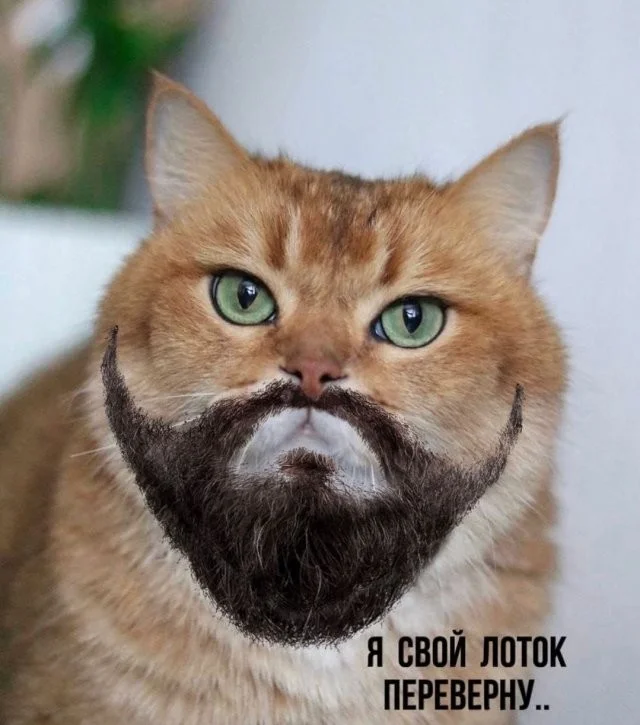 Смешные скрины из соцсетей #103 Смешные скрины из соцсетей #103