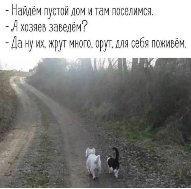 Мемы с ноткой деградации