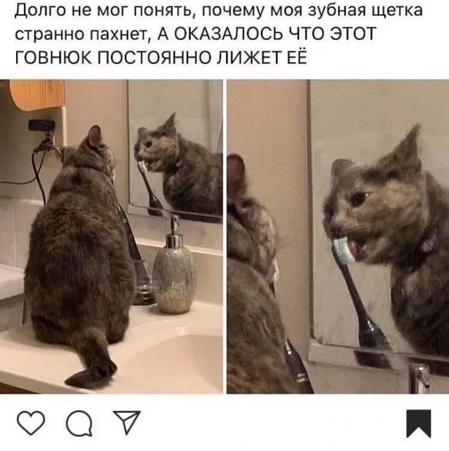 Давайте деградировать!