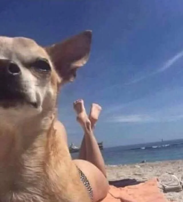 Отличные мемы