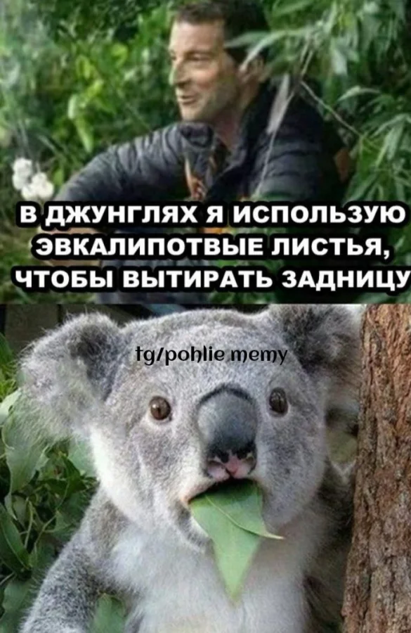 Нестандартный юмор #476 Нестандартный юмор #476