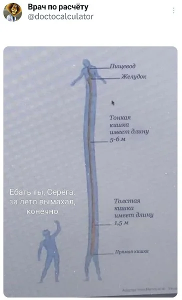 Мемы на каждый день #2