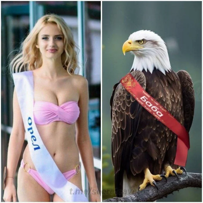 Нестандартный юмор #486 Нестандартный юмор #486