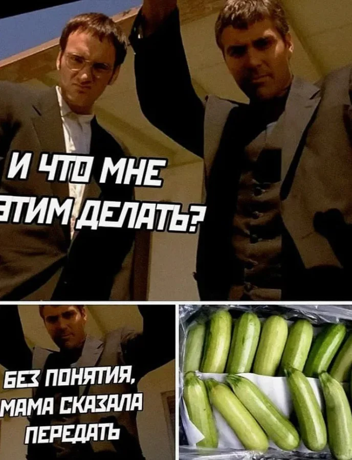 Кабачки из рук в руки