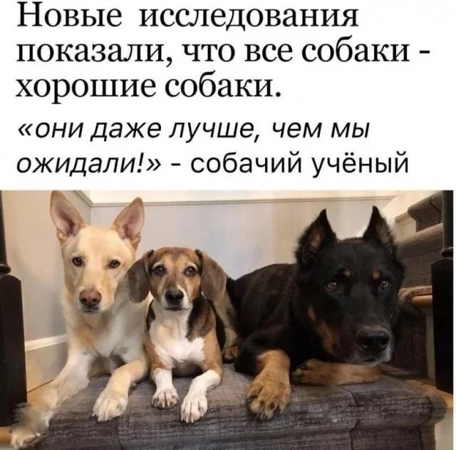 Смешные скрины из соцсетей #103 Смешные скрины из соцсетей #103