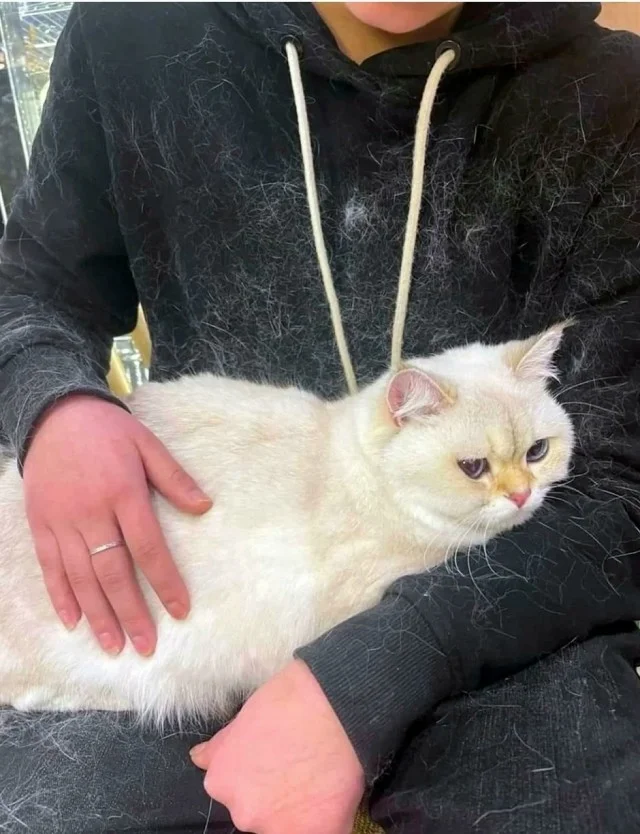 Свежо и актуально