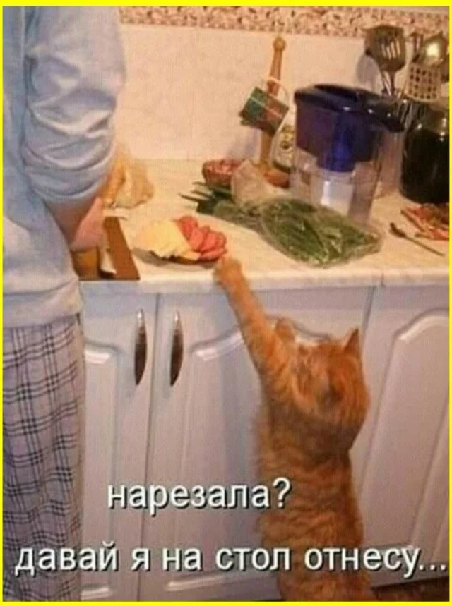 На каждый день