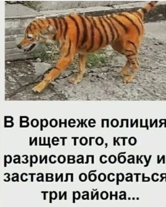 Ну давай деграднем