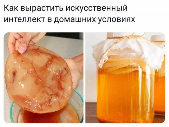 Мемы буднего дня #4