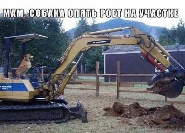 Подборка веселых и свежих мемов