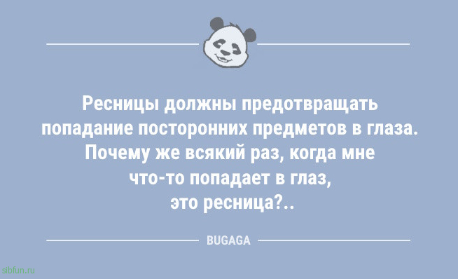 Анекдоты дня: &laquo;Жена хочет велотренажёр&hellip;&raquo; 