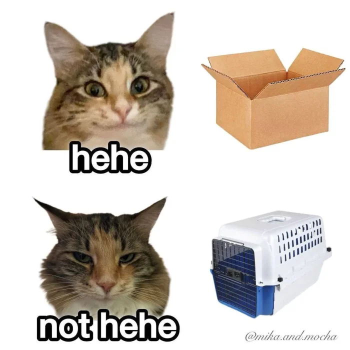 Нестандартный юмор #483 Нестандартный юмор #483