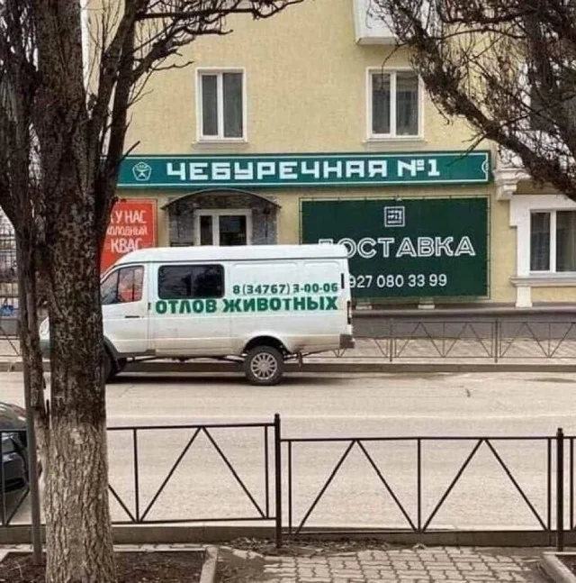 Странные картинки