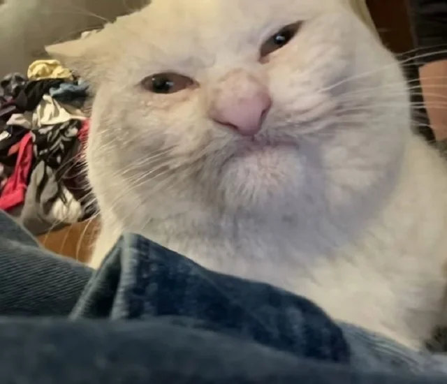 Реальная ржака: Прикольные картинки