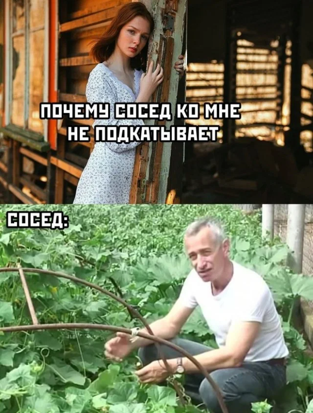 Ну давай деграднем