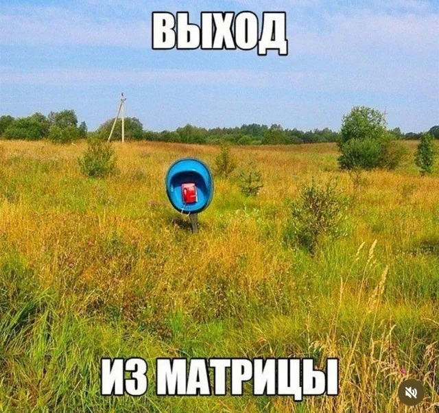 Деградируем с мемами