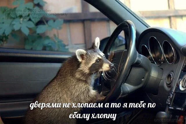 Мемные деградашки