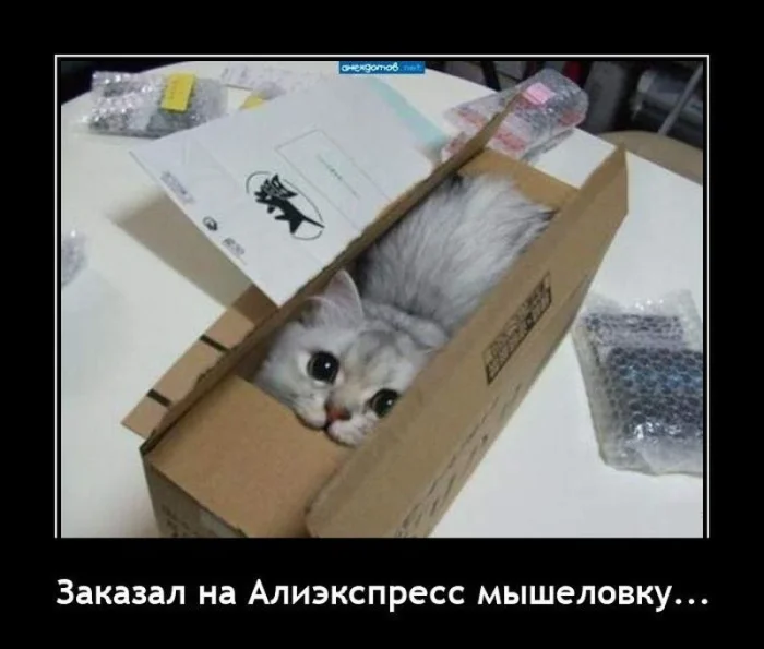 Подборка демотиваторов, которые поднимут настроение Подборка демотиваторов, которые поднимут настроение