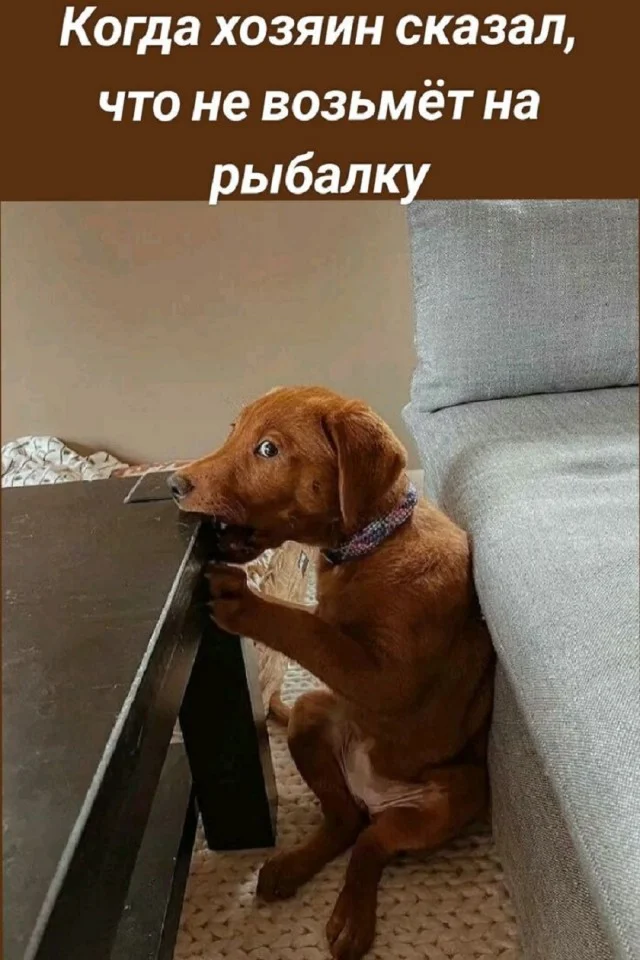 Подборка веселых и свежих мемов