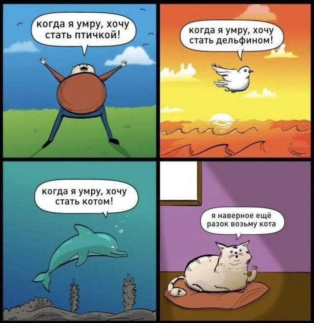 Смешные скрины из соцсетей #105