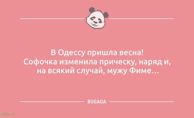 Шутки и анекдоты: «Бабушка принесла свой сотовый…» 