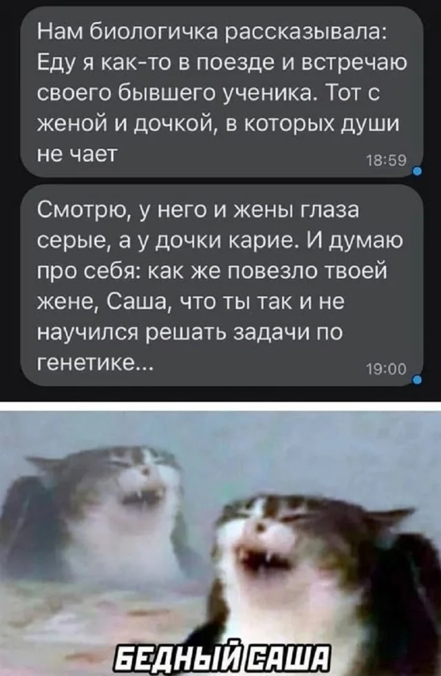 Просто мемы