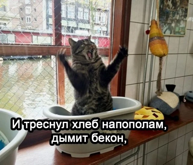 Ну такие себе мемы