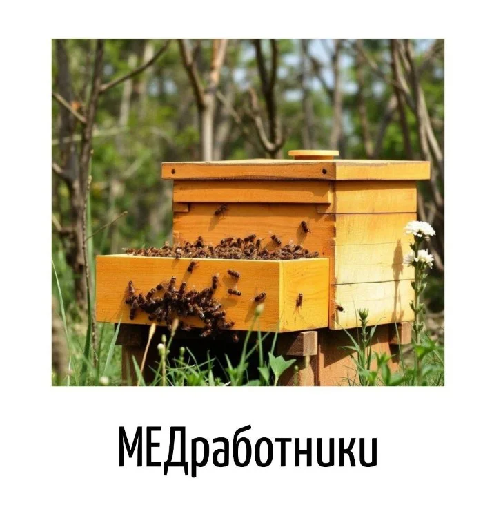 Игра слов – каламбуры, словесный юмор и прикольные картинки #127