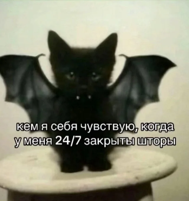 Смешные скрины из соцсетей #119 Смешные скрины из соцсетей #119