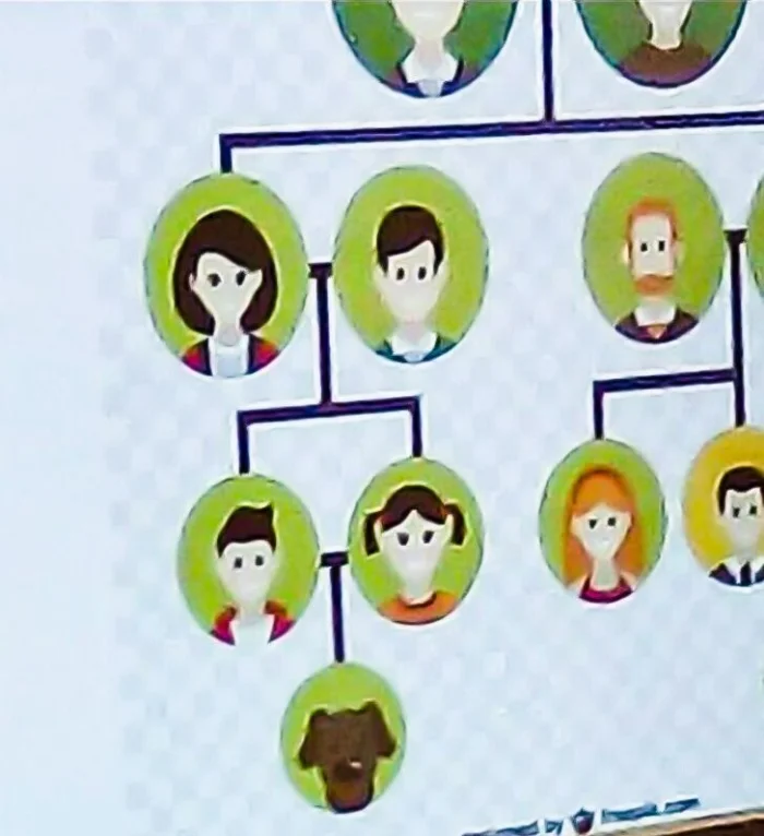 Когда учебники идут не по плану: 16 смешных ошибок в детских книгах Когда учебники идут не по плану: 16 смешных ошибок в детских книгах